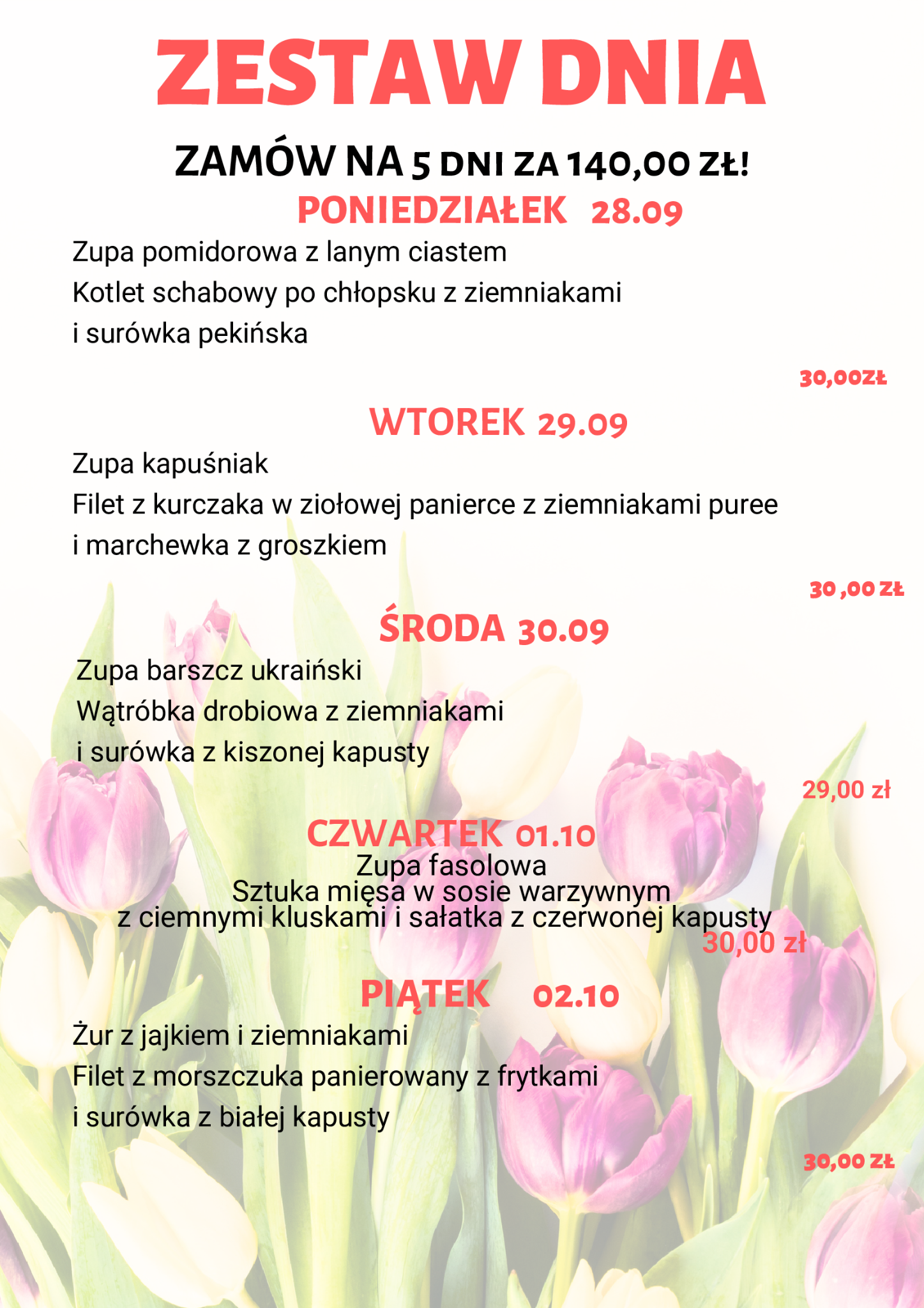 Aktualny zestaw dnia w Karcmie Pod Strzechom